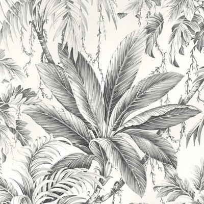 KRAVET DESIGN W4190.11.0 KRAVET DESIGN W4190-11 Wallpaper - Eade's Wallpaper