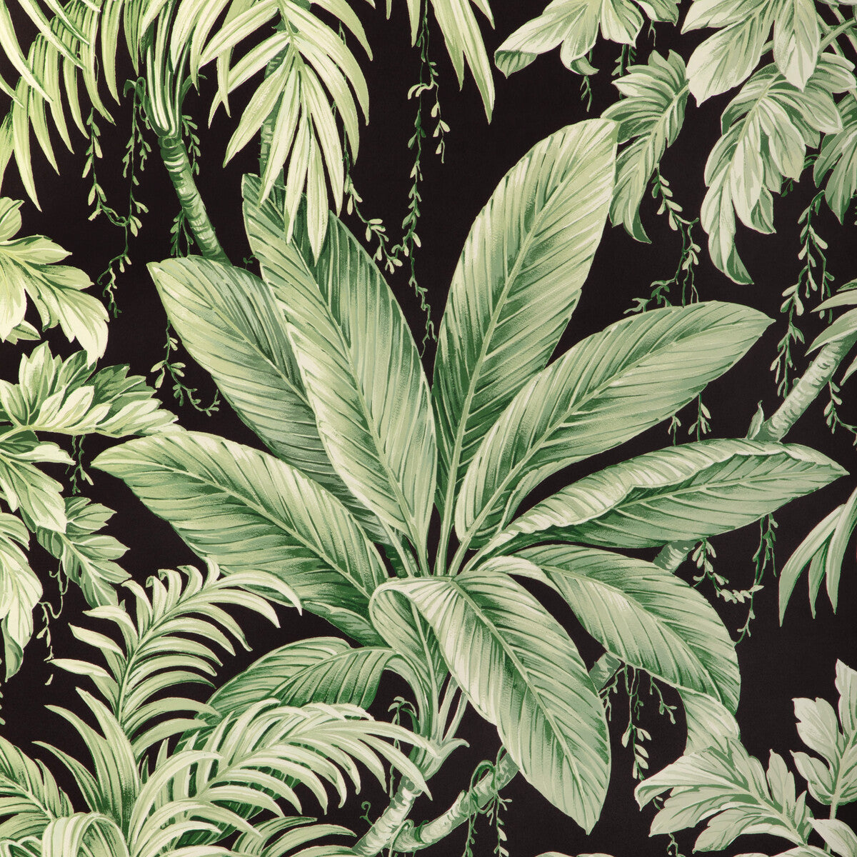 KRAVET DESIGN W4190.830.0 KRAVET DESIGN W4190-830 Wallpaper - Eade's Wallpaper