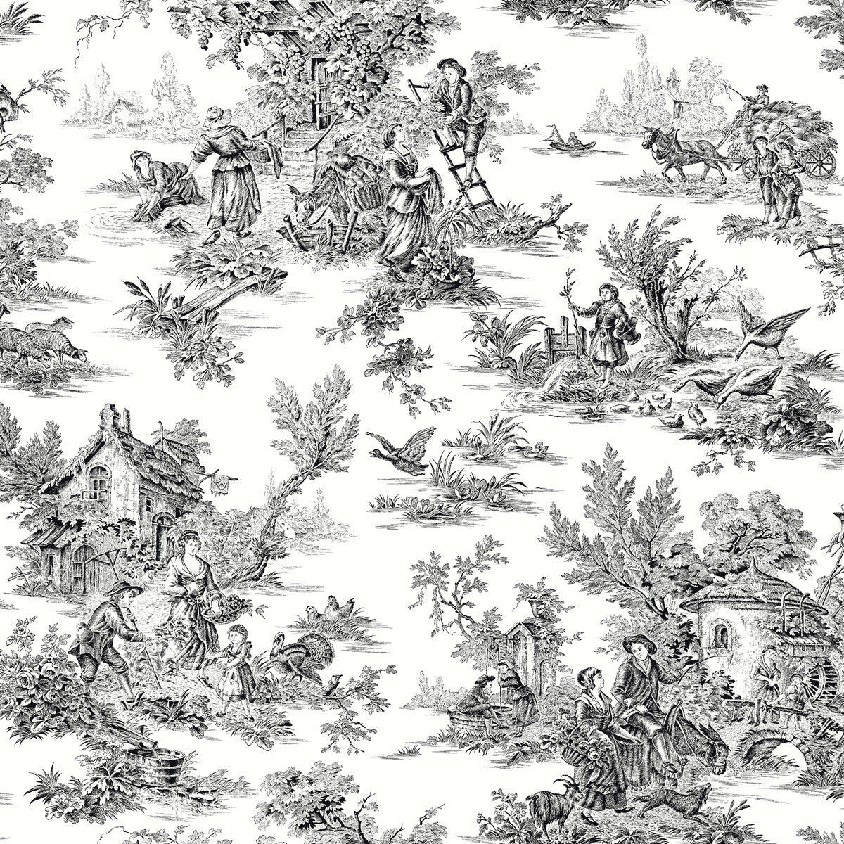 KRAVET DESIGN W4235.8.0 KRAVET DESIGN W4235-8 Wallpaper - Eade's Wallpaper