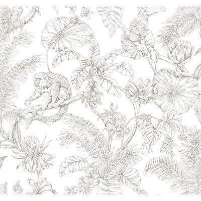 KRAVET DESIGN W4250.6.0 KRAVET DESIGN W4250-6 Wallpaper - Eade's Wallpaper