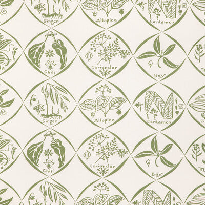 KRAVET COUTURE W4262.30.0 SPICES WP CACTUS Fabric - HARWOOD STEIGER WALLCOVERING