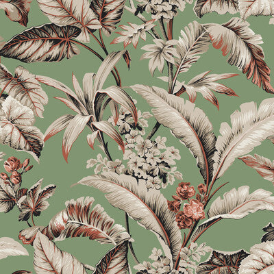 KRAVET DESIGN W4272.312.0 KRAVET DESIGN W4272-312 Fabric - RONALD REDDING CLASSICS