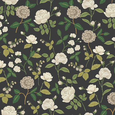 KRAVET DESIGN W4299.811.0 KRAVET DESIGN W4299-811 Fabric - RIFLE PAPER CO THIRD EDITION