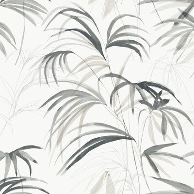 KRAVET DESIGN W4305.21.0 KRAVET DESIGN W4305-21 Fabric - CANDICE OLSON NATURAL DISCOVERY