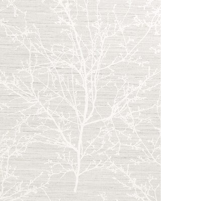 KRAVET DESIGN KRAVET DESIGN W4323.11.0 in W4323-11 Wallpaper