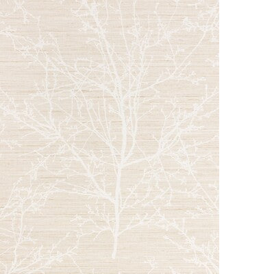 KRAVET DESIGN KRAVET DESIGN W4323.16.0 in W4323-16 Wallpaper
