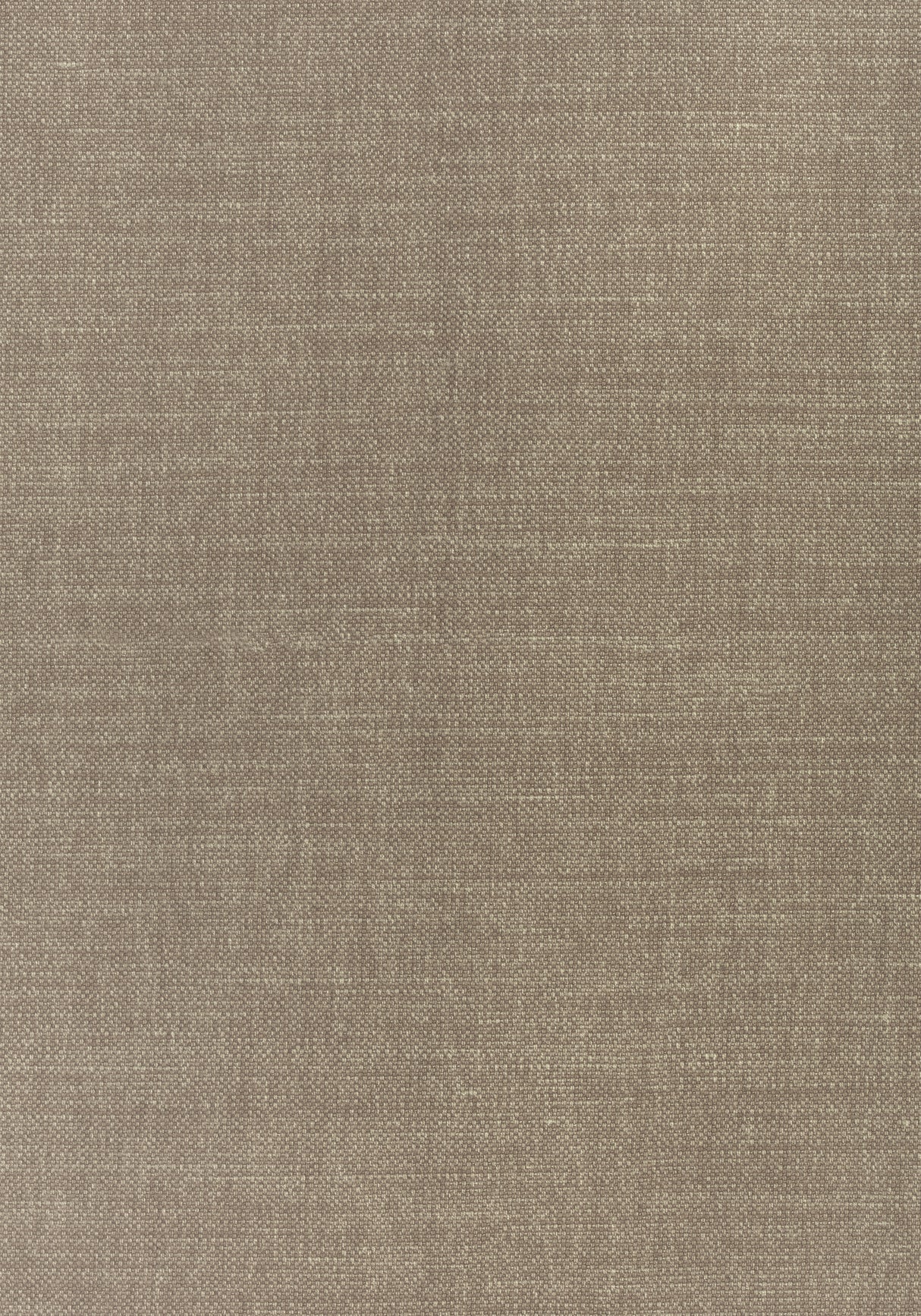 Thibaut W70109 PRISMA Fawn Fabric