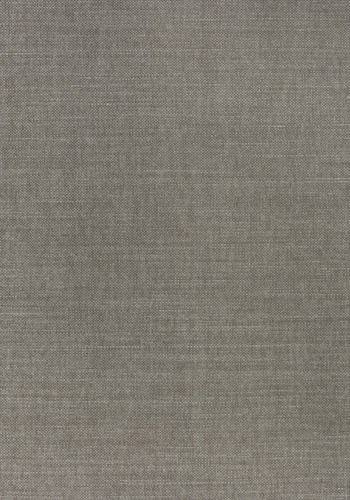 Thibaut W70112 PRISMA Mink Fabric