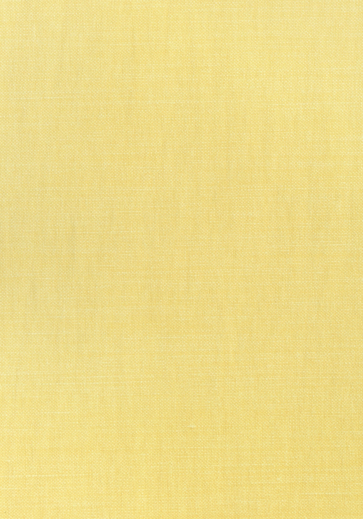 Thibaut W70122 PRISMA Sunshine Fabric