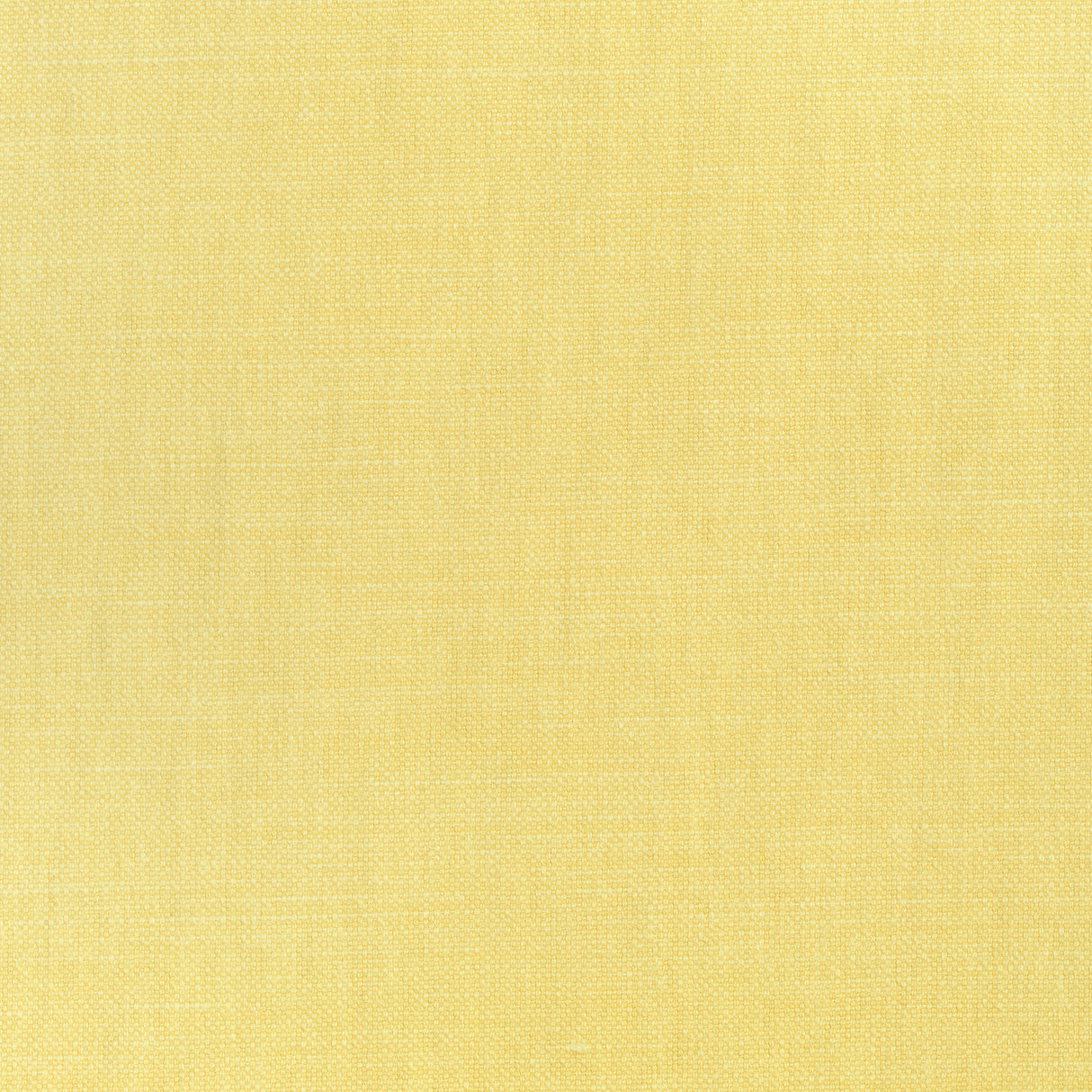 Thibaut W70122 PRISMA Sunshine Fabric