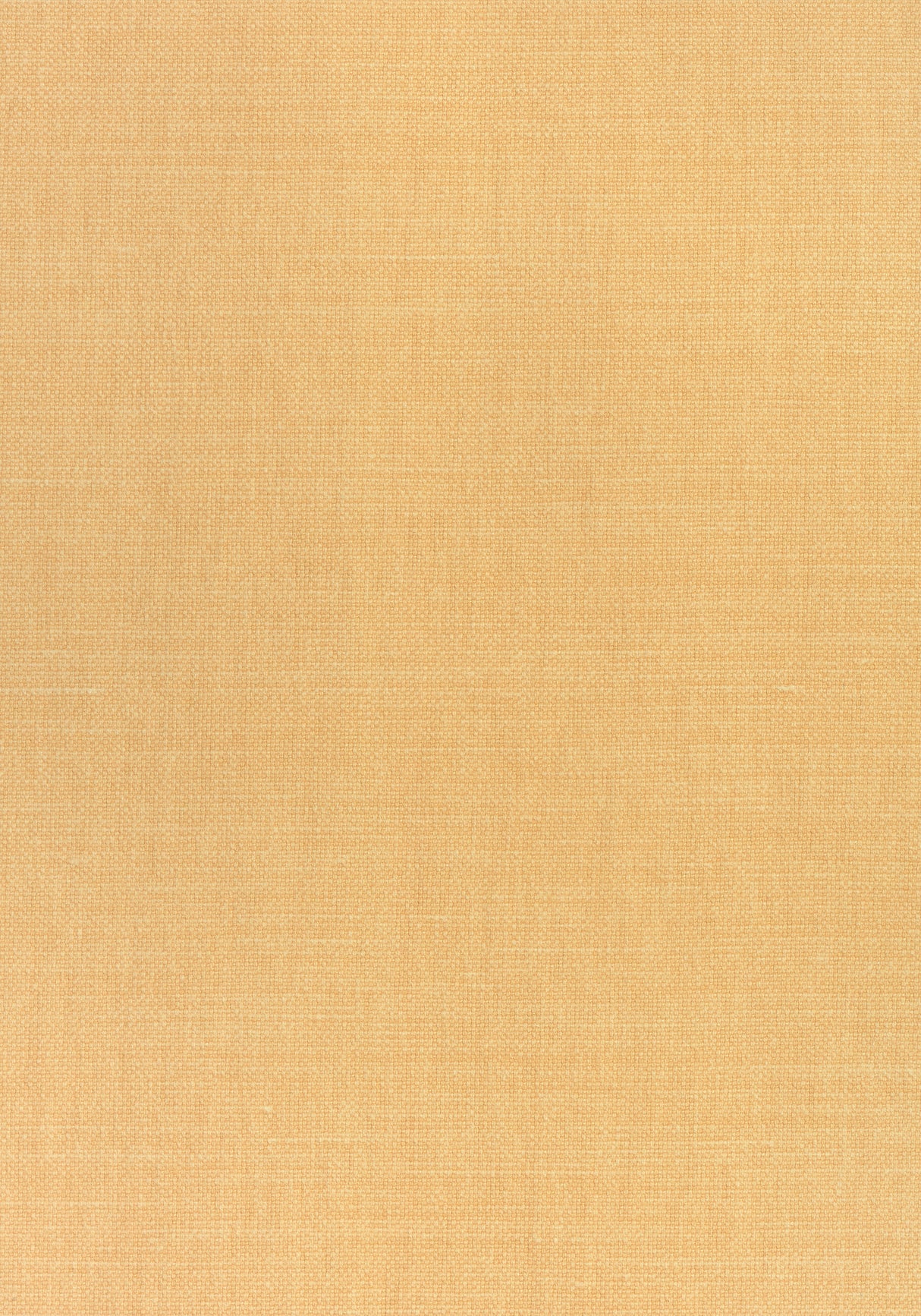 Thibaut W70123 PRISMA Melon Fabric