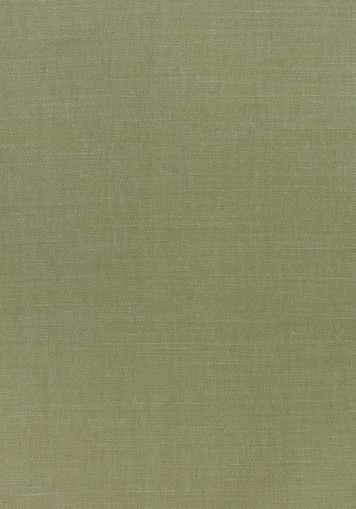 Thibaut W70137 PRISMA Moss Fabric