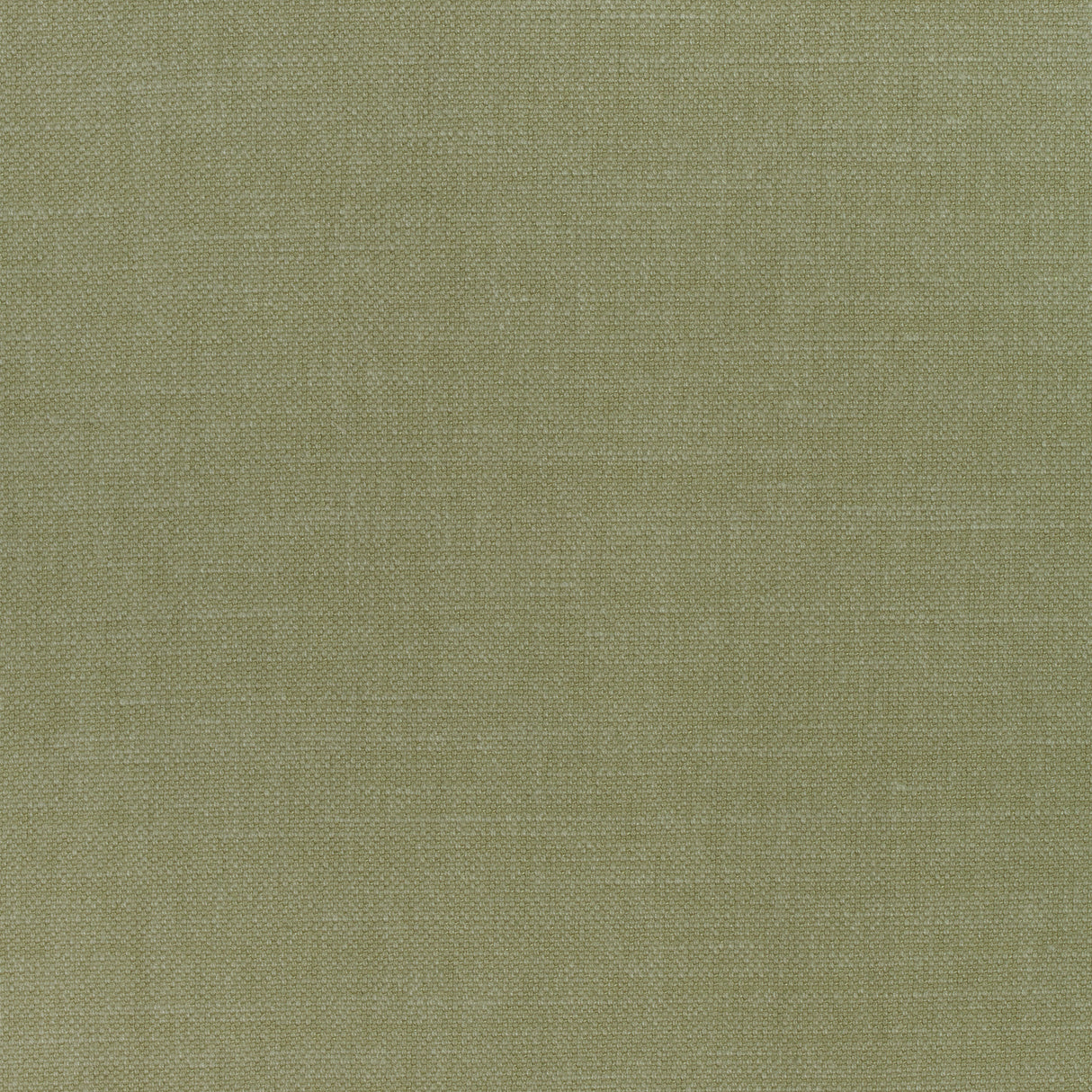 Thibaut W70137 PRISMA Moss Fabric