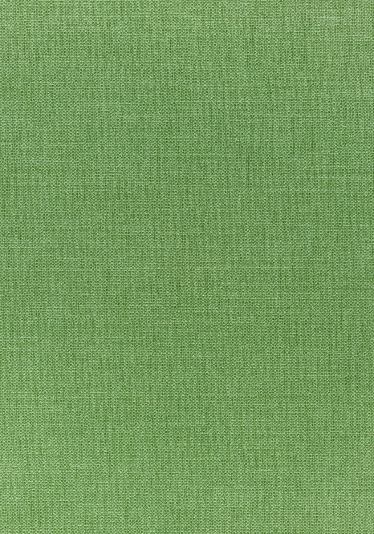Thibaut W70140 PRISMA Grass Fabric