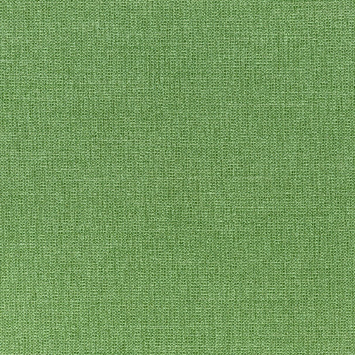 Thibaut W70140 PRISMA Grass Fabric