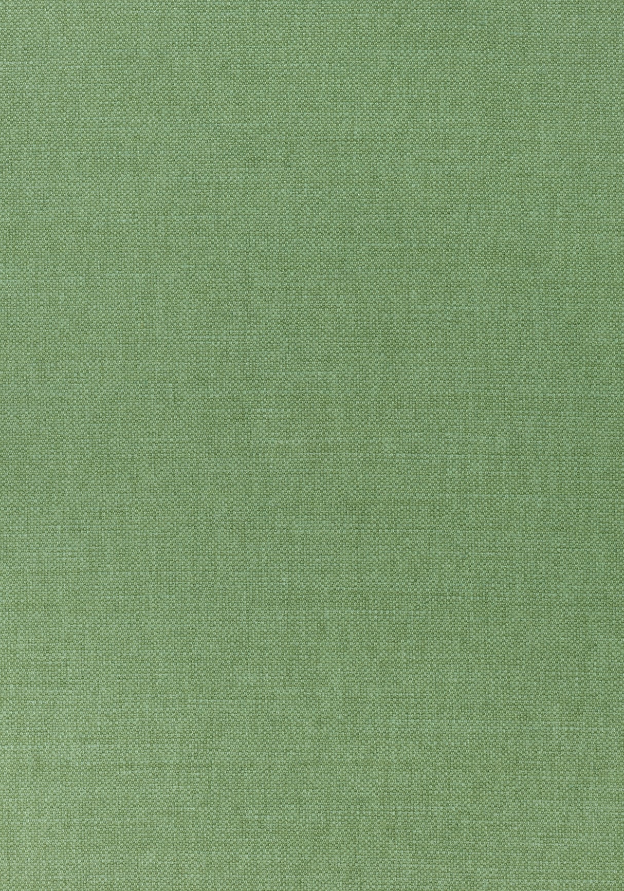 Thibaut W70141 PRISMA Fern Fabric