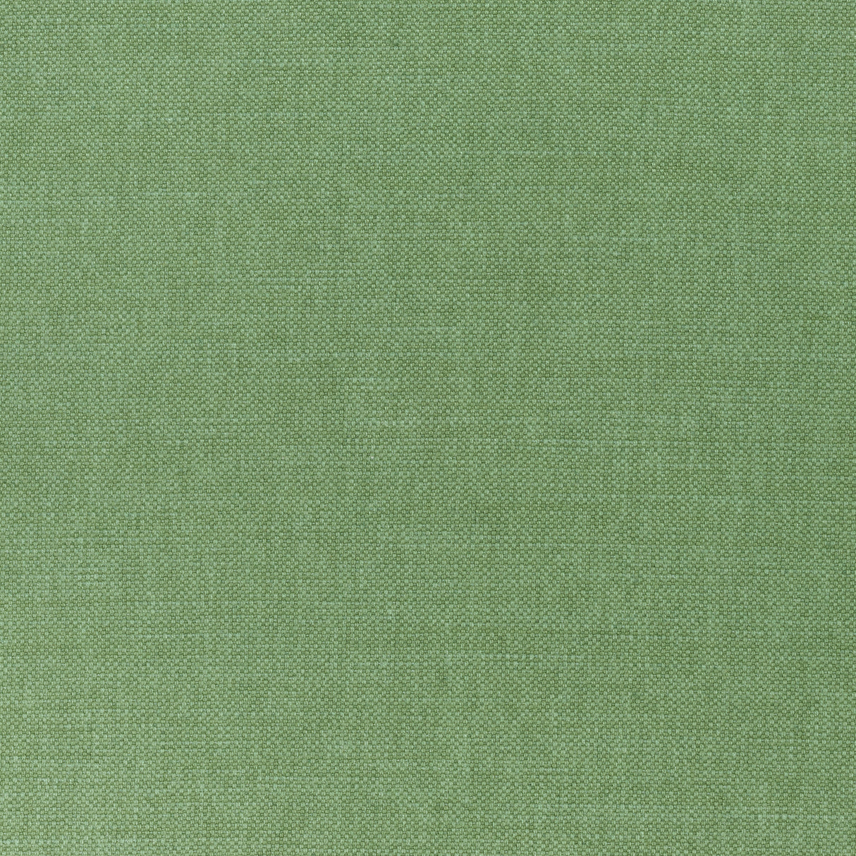 Thibaut W70141 PRISMA Fern Fabric