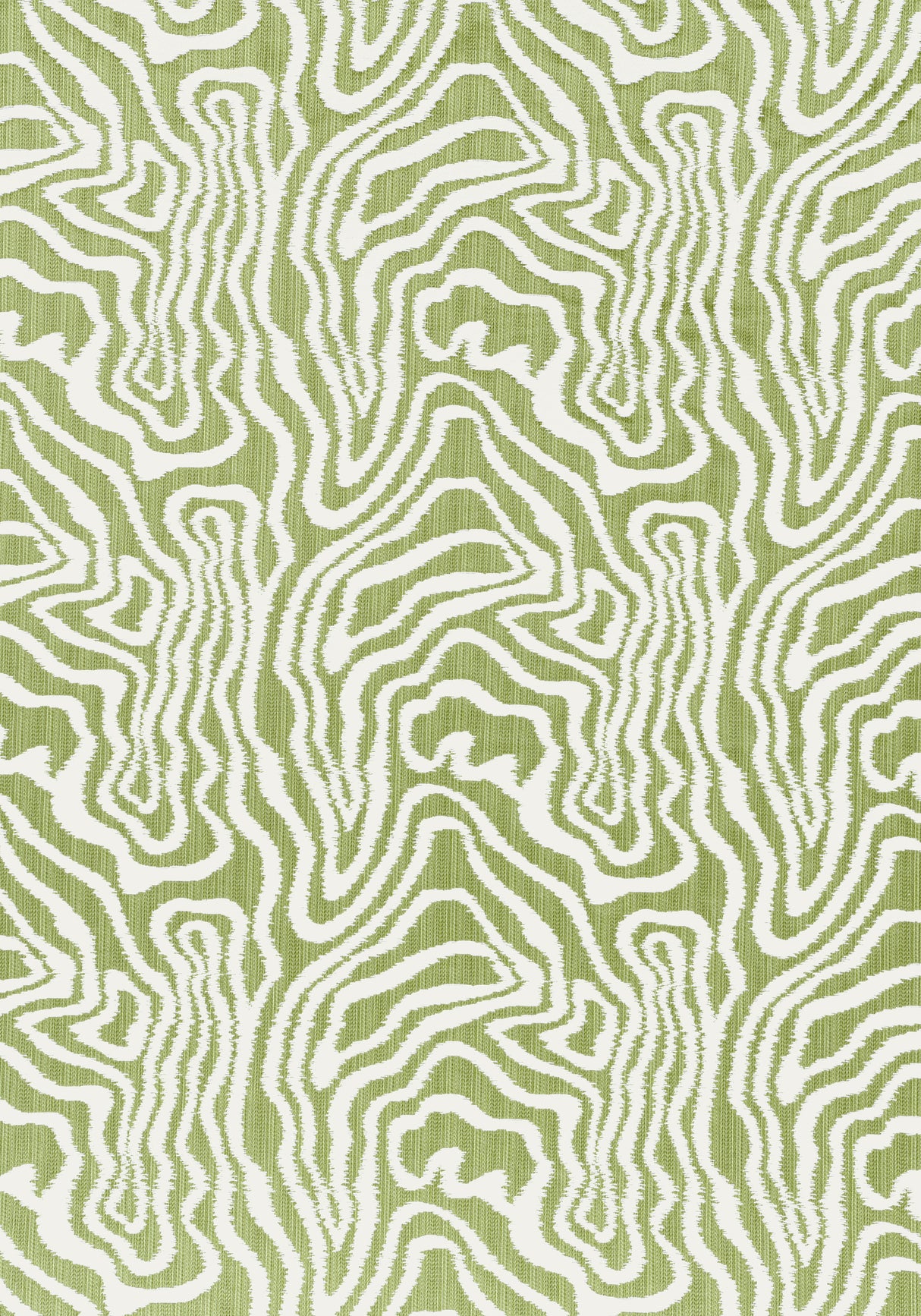 Thibaut W713609 ALESSANDRO Sage Fabric