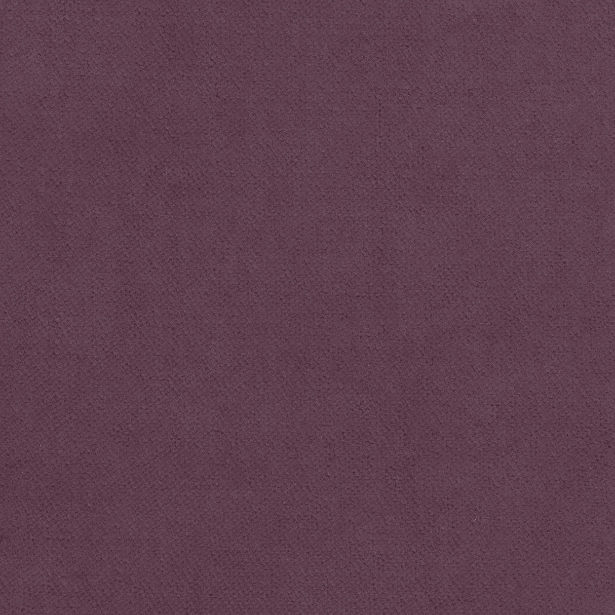 Thibaut W7213 CLUB VELVET Mulberry Fabric