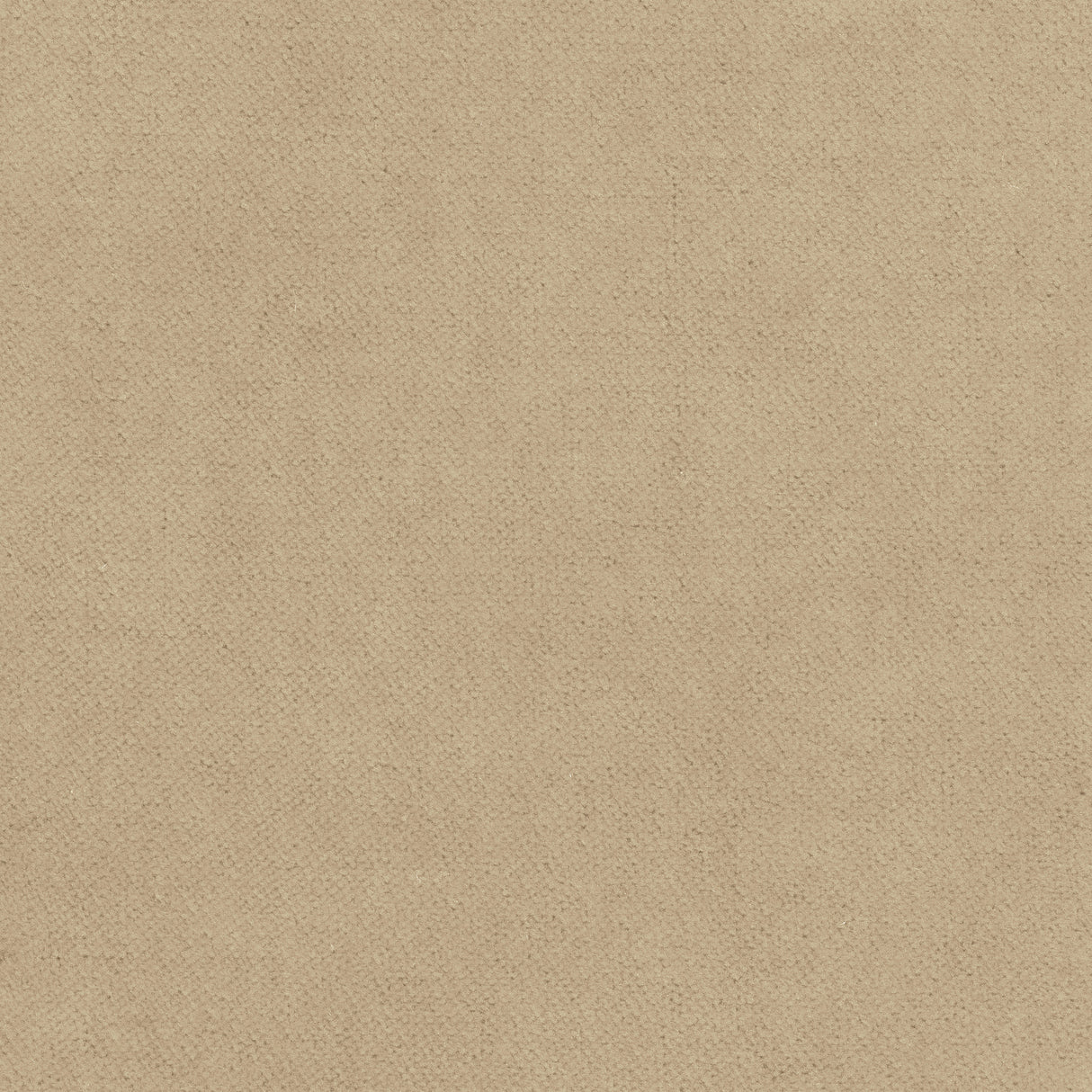 Thibaut W7231 CLUB VELVET Sand Fabric