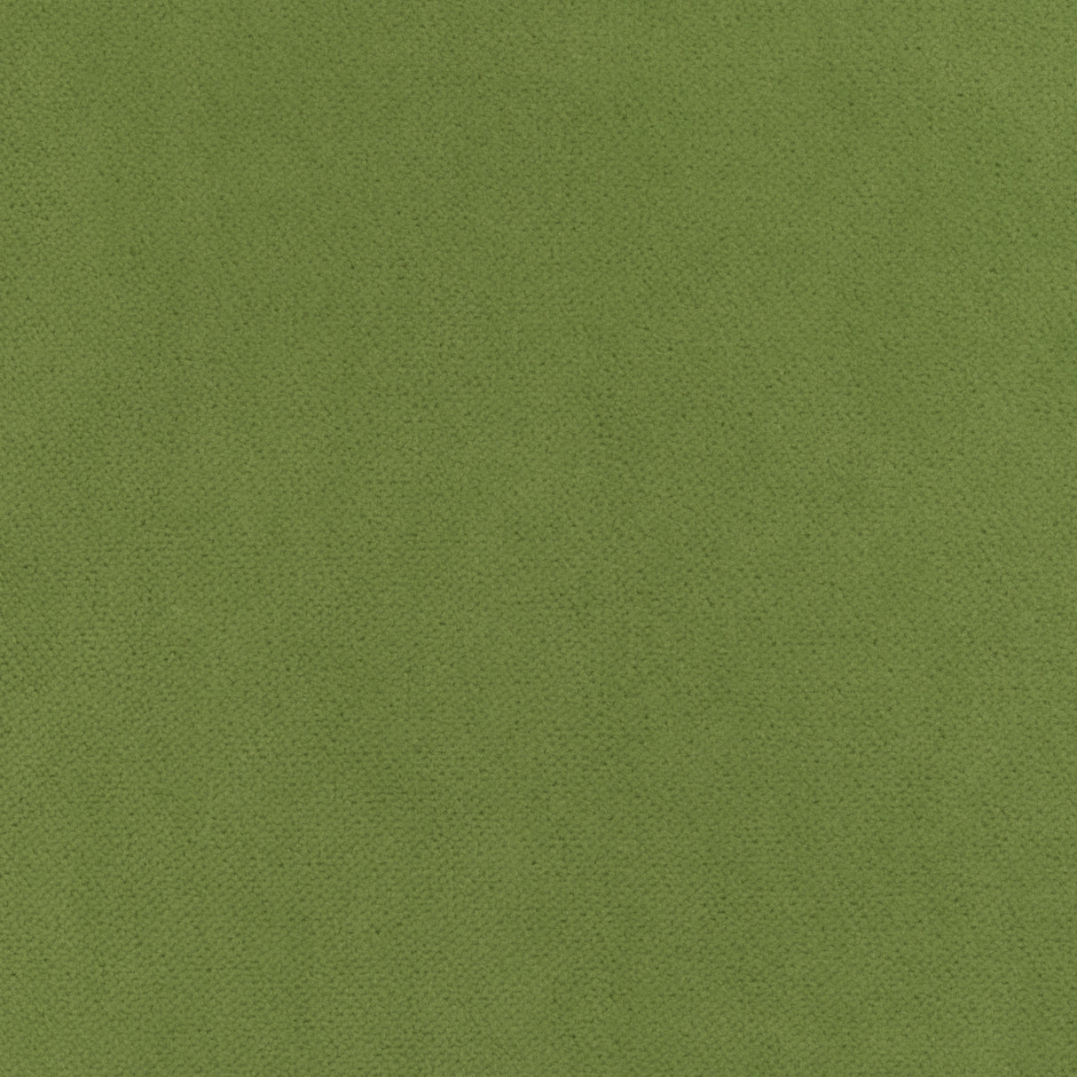 Thibaut W7256 CLUB VELVET Leaf Fabric