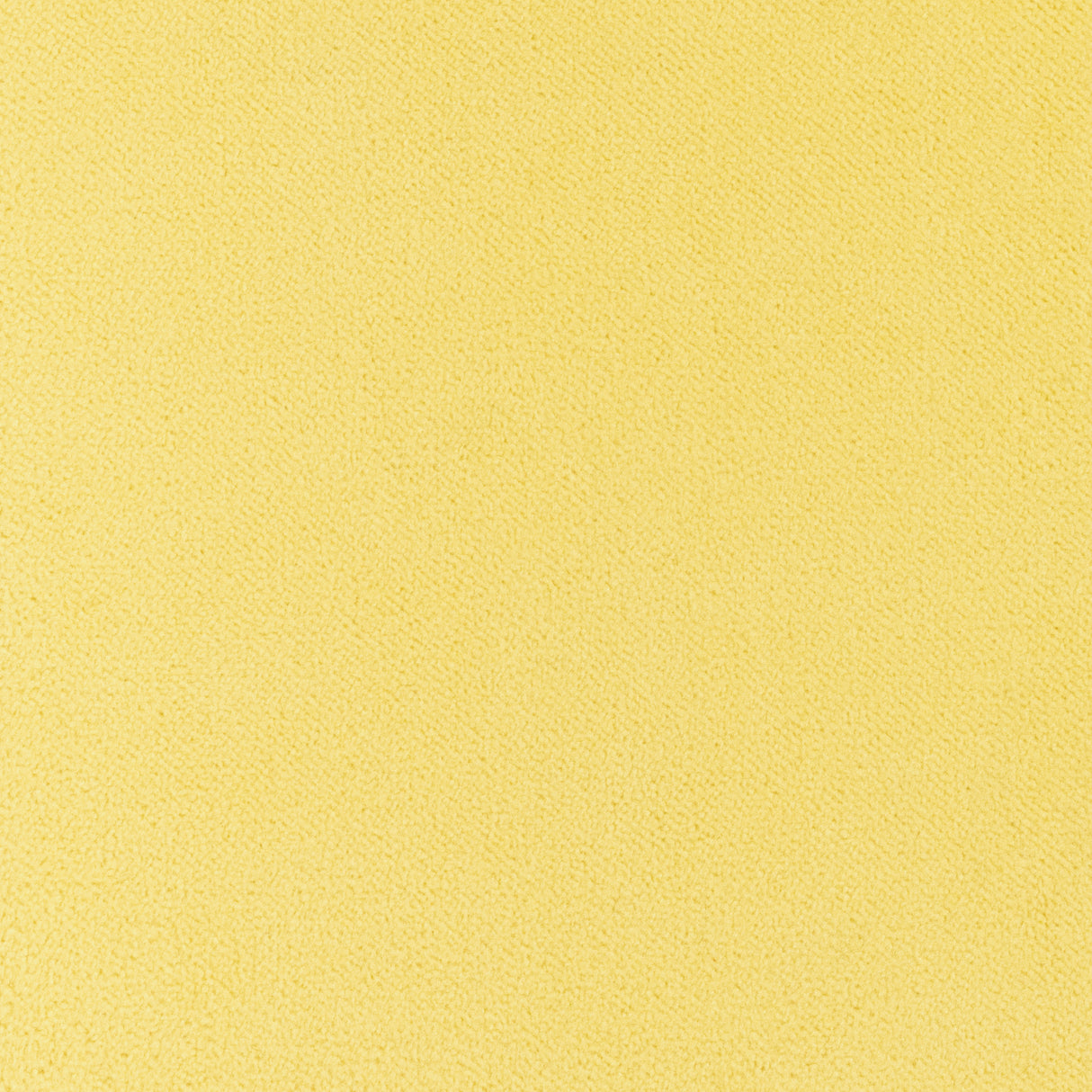 Thibaut W7259 CLUB VELVET Sunshine Fabric