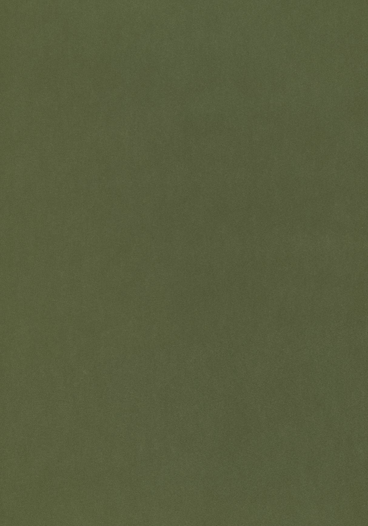 Thibaut W72822 MILES MOHAIR VELVET Ivy Fabric