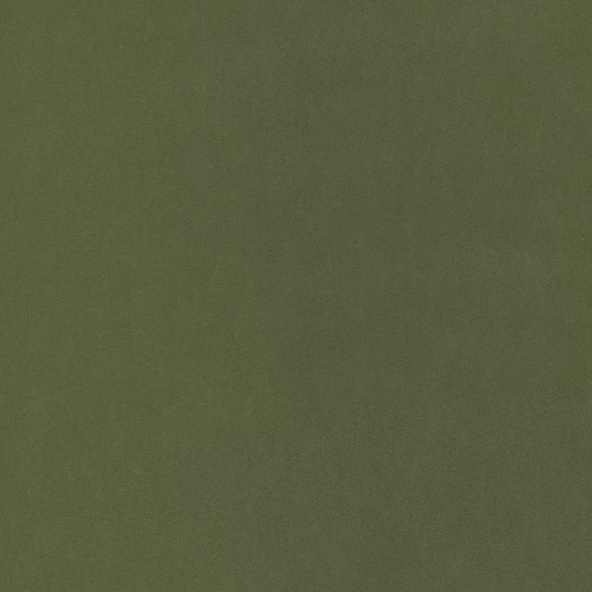 Thibaut W72822 MILES MOHAIR VELVET Ivy Fabric