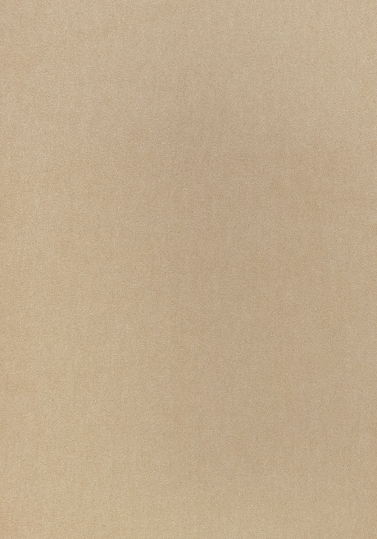 Thibaut W72828 MILES MOHAIR VELVET Camel Fabric