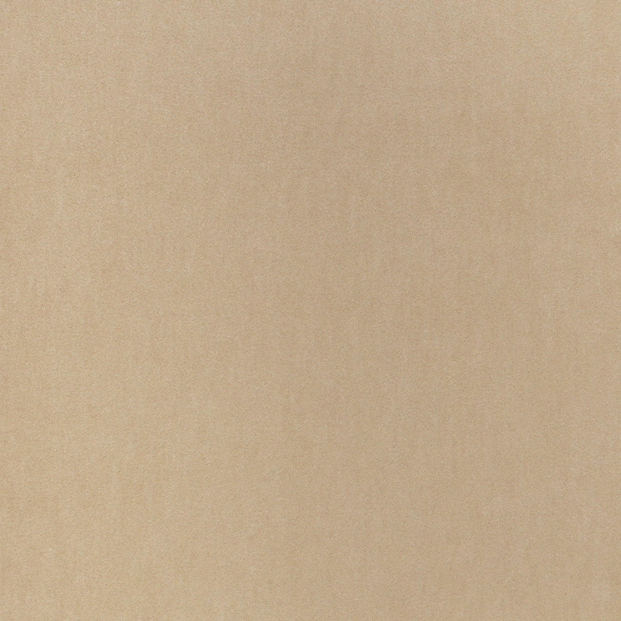 Thibaut W72828 MILES MOHAIR VELVET Camel Fabric