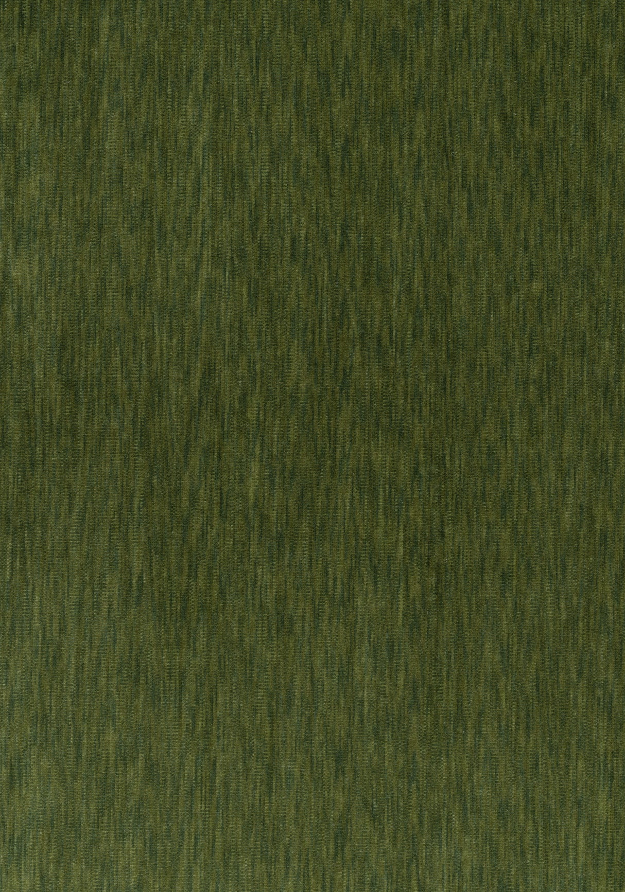 Thibaut W72829 RIFF VELVET Ivy Fabric