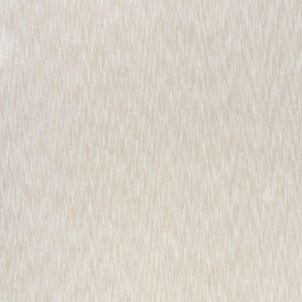 Thibaut W72831 RIFF VELVET Oyster Fabric