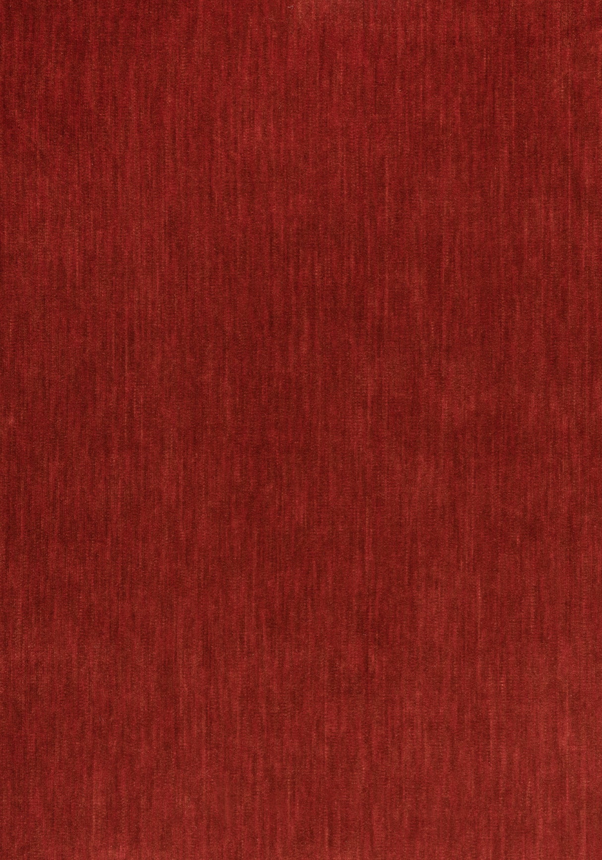 Thibaut W72832 RIFF VELVET Autumn Fabric