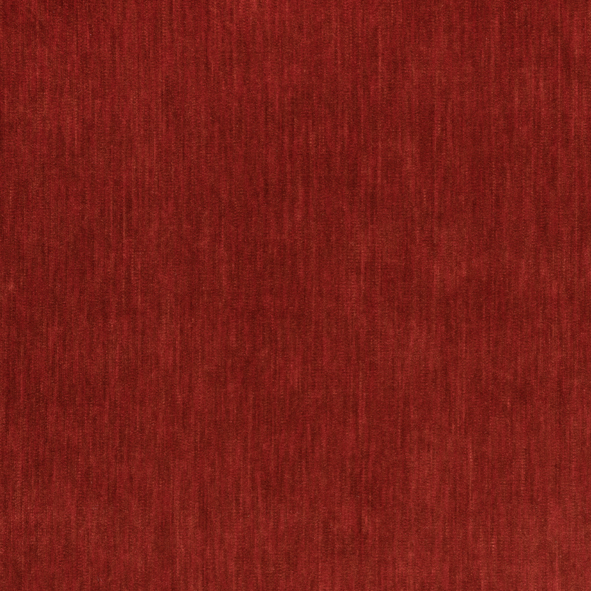 Thibaut W72832 RIFF VELVET Autumn Fabric
