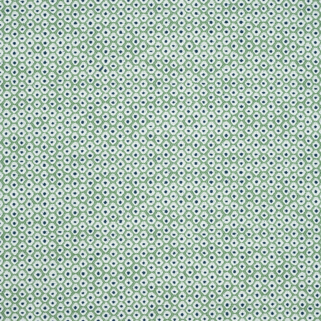 Thibaut W73464 PIXIE Kelly Green and Marine Fabric