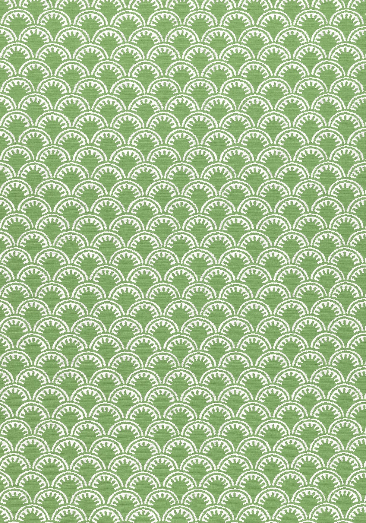 Thibaut W74637 MAISIE Kelly Green Fabric