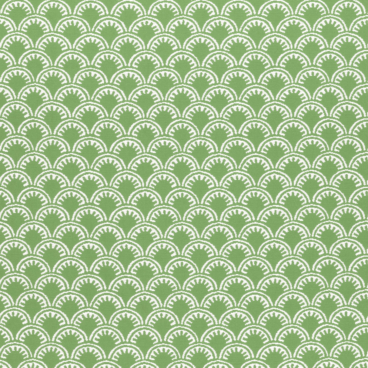 Thibaut W74637 MAISIE Kelly Green Fabric