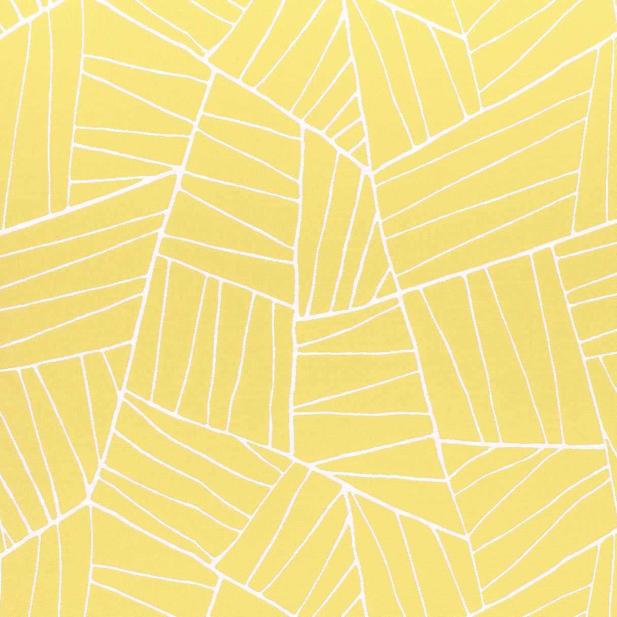 Thibaut W74651 JORDAN Sunshine Fabric