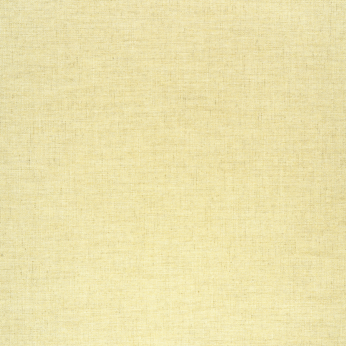 Thibaut W75213 AMBIENT Buttercup Fabric