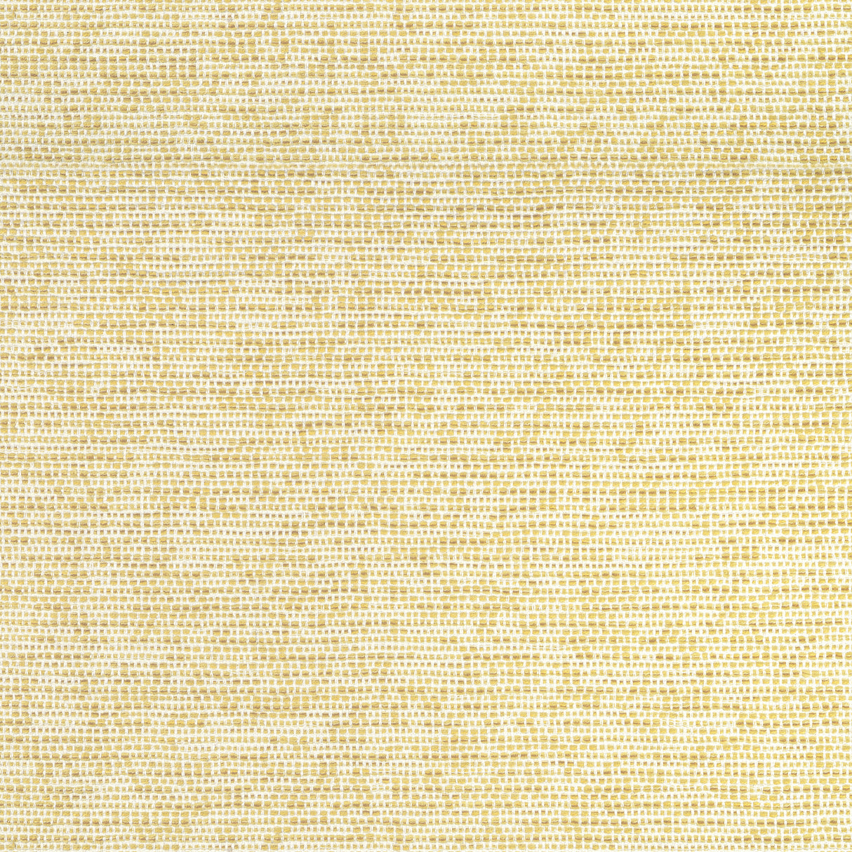 Thibaut W75232 BOREALIS Buttercup Fabric