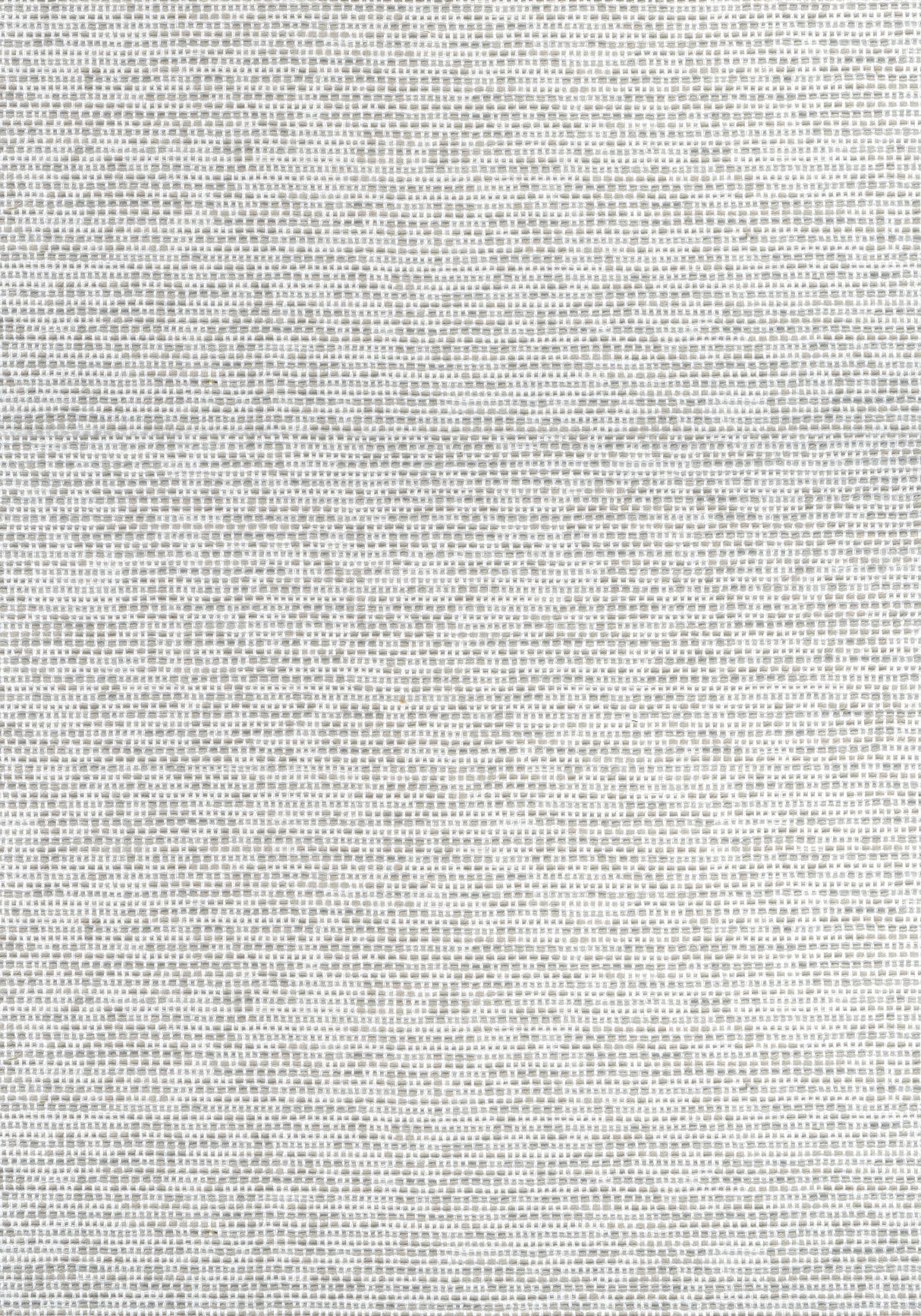 Thibaut W75237 BOREALIS Platinum Fabric