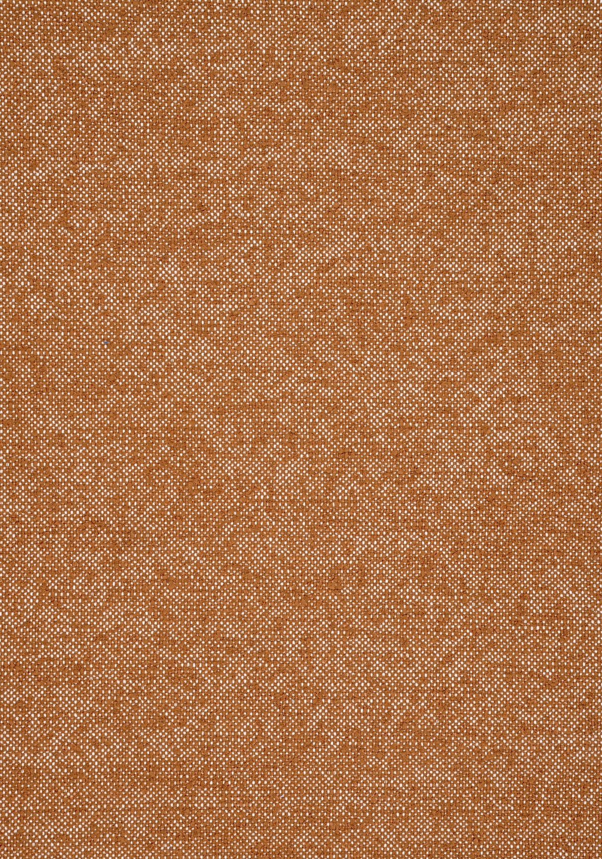 Thibaut W77105 SASSO Copper Fabric