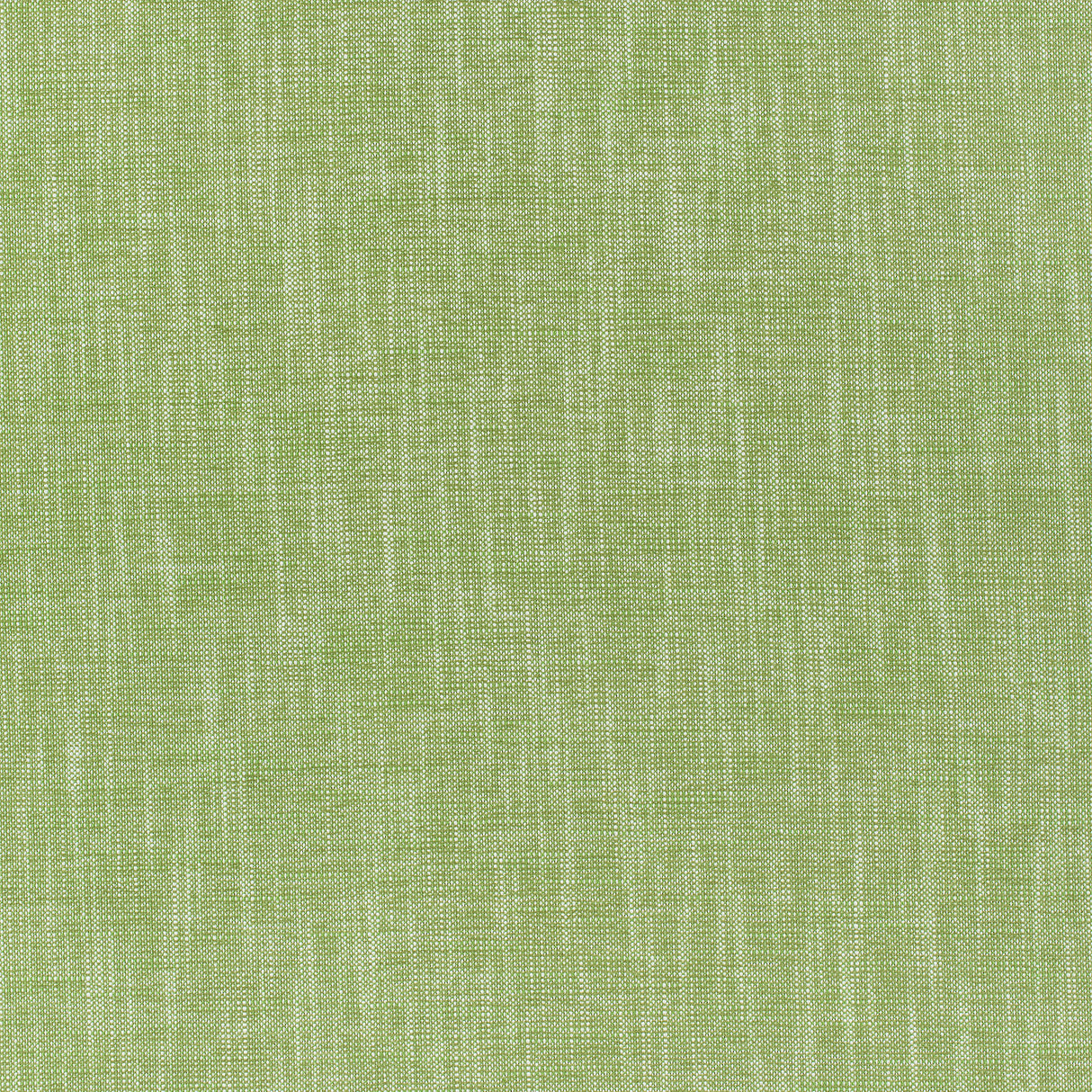 Thibaut W80499 BAILEY Grass Fabric