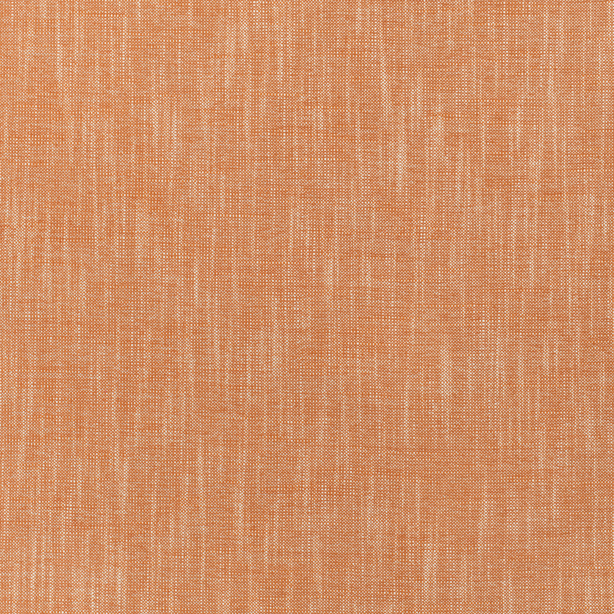 Thibaut W80501 BAILEY Coral Fabric