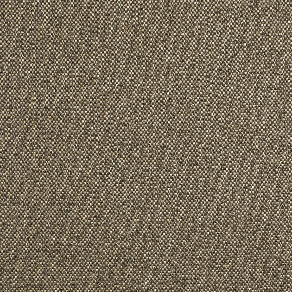 Thibaut W8129 TINTA Mocha Fabric