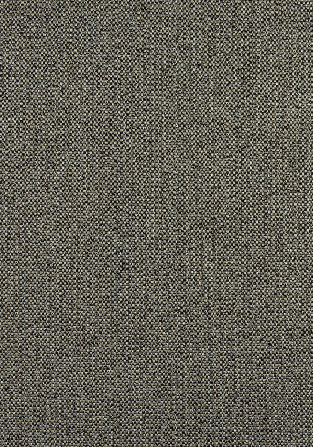 Thibaut W8131 TINTA Onyx Fabric