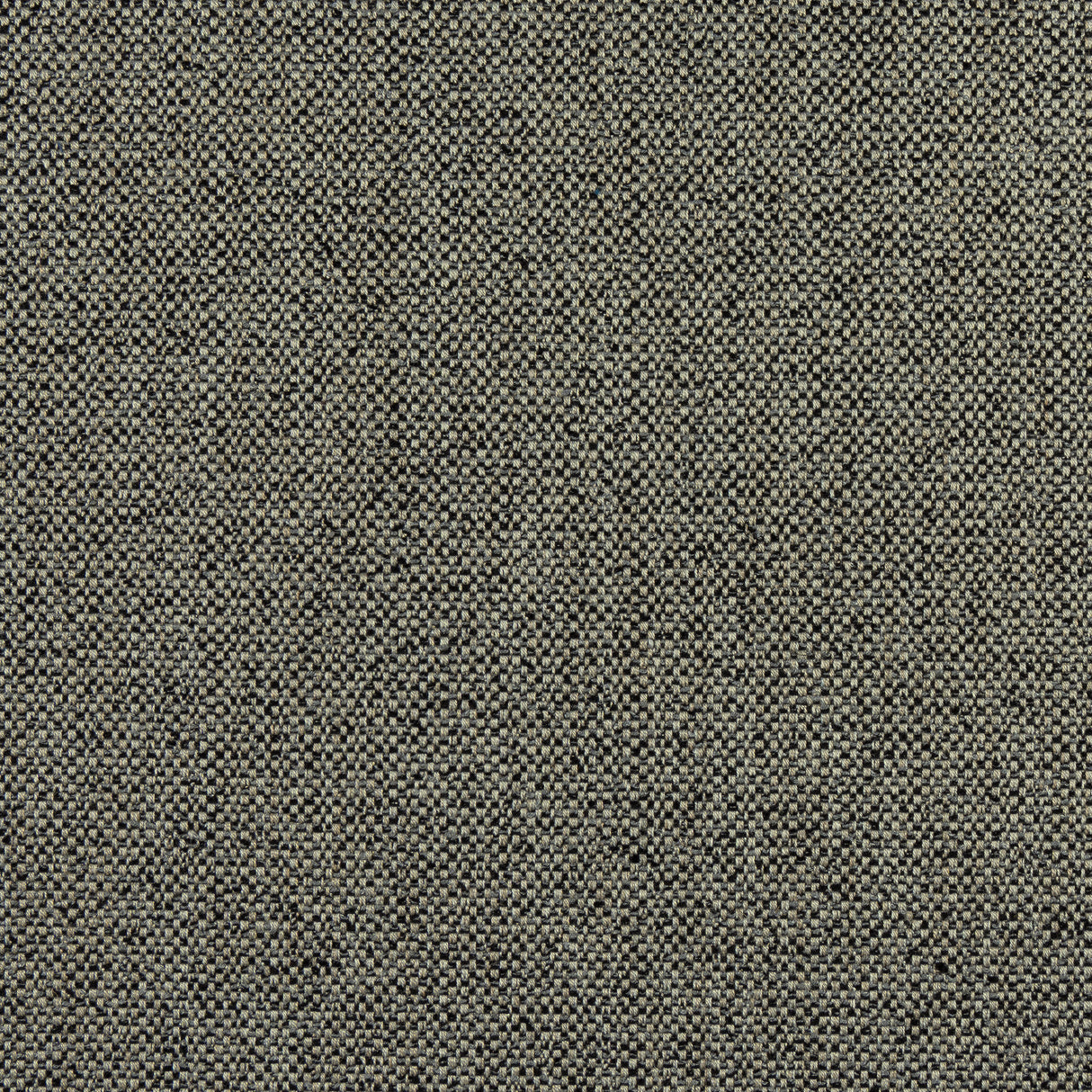 Thibaut W8131 TINTA Onyx Fabric