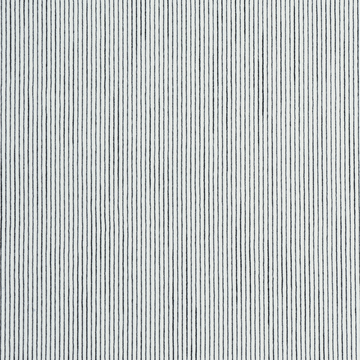 Thibaut W8148 FINO VELVET Domino Fabric