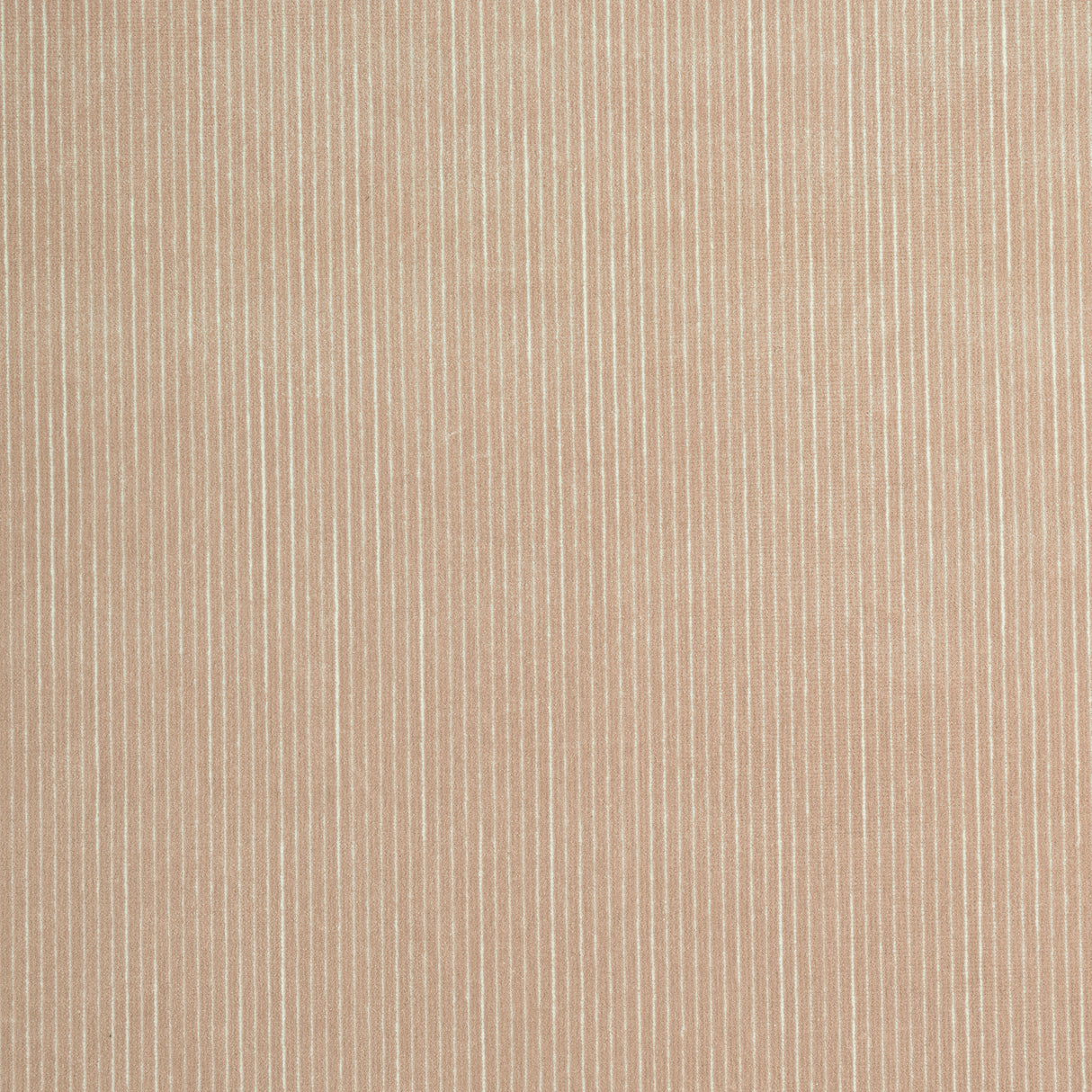 Thibaut W8149 FINO VELVET Cashmere Fabric