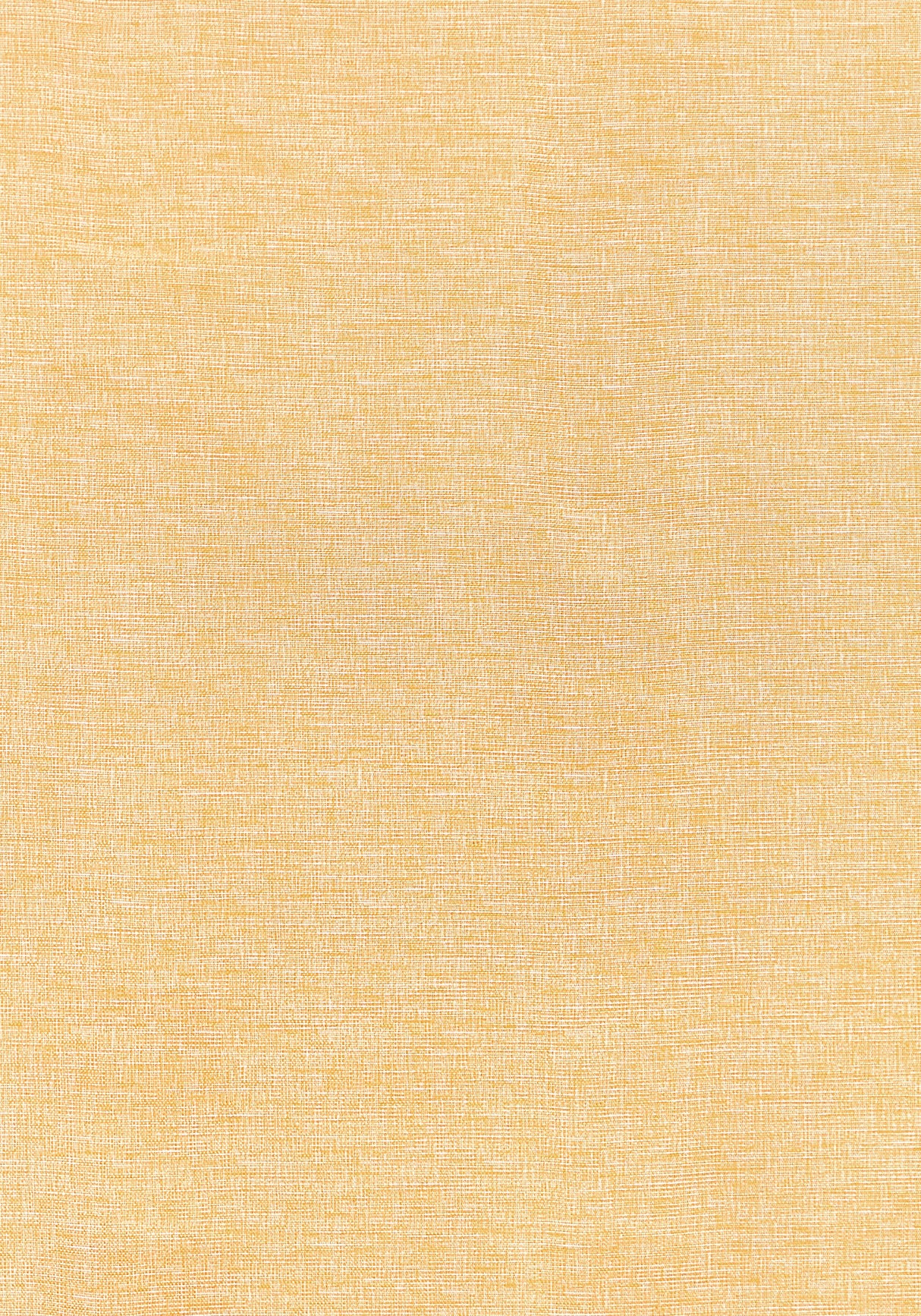 Thibaut W81610 FINLEY Daisy Fabric